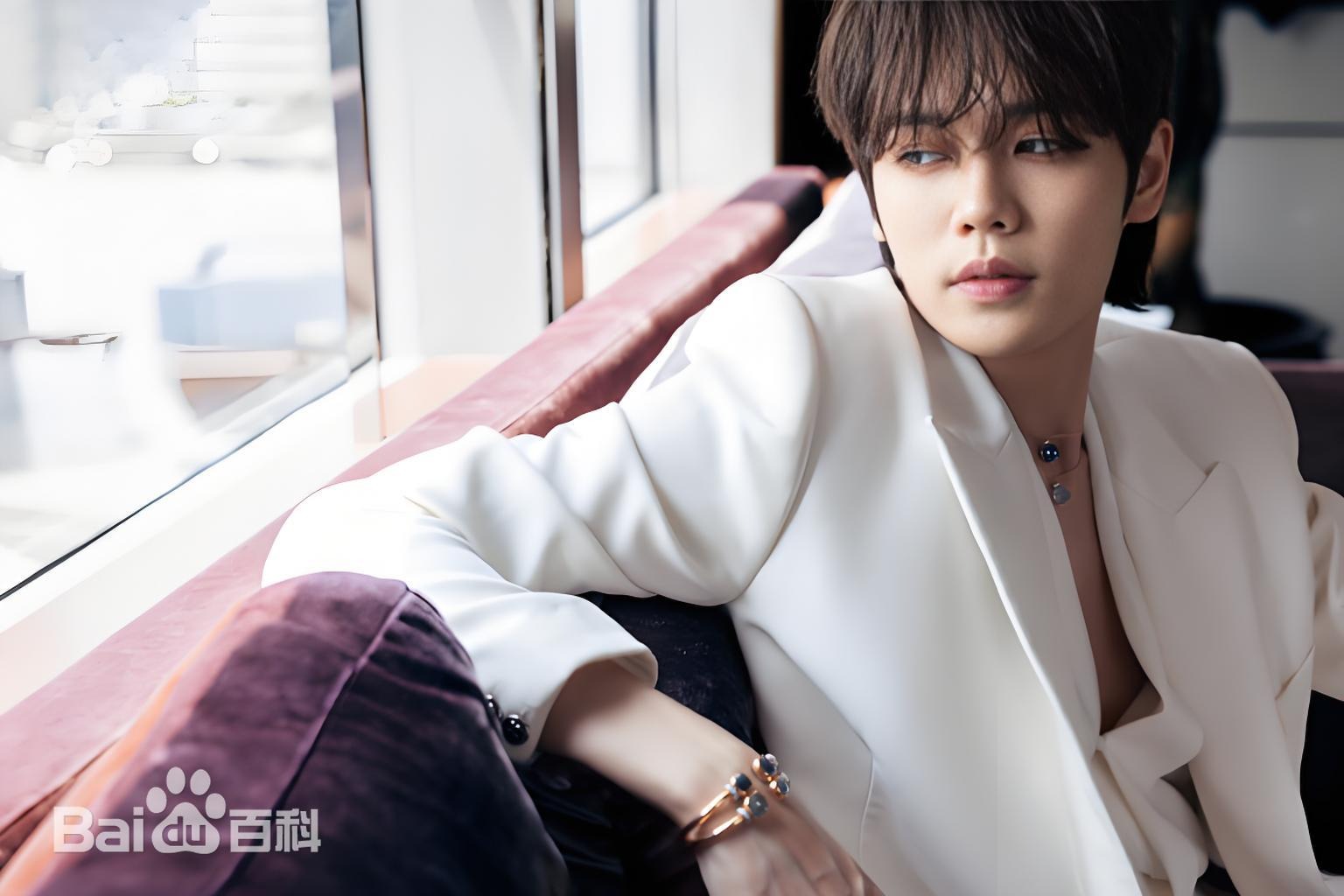 Lâm Ngạn Tuấn bị đuổi khỏi showbiz Trung Quốc Cuộc sống hiện tại của Lâm Ngạn Tuấn