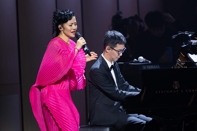 Hồng Nhung biểu diễn trên sân khấu