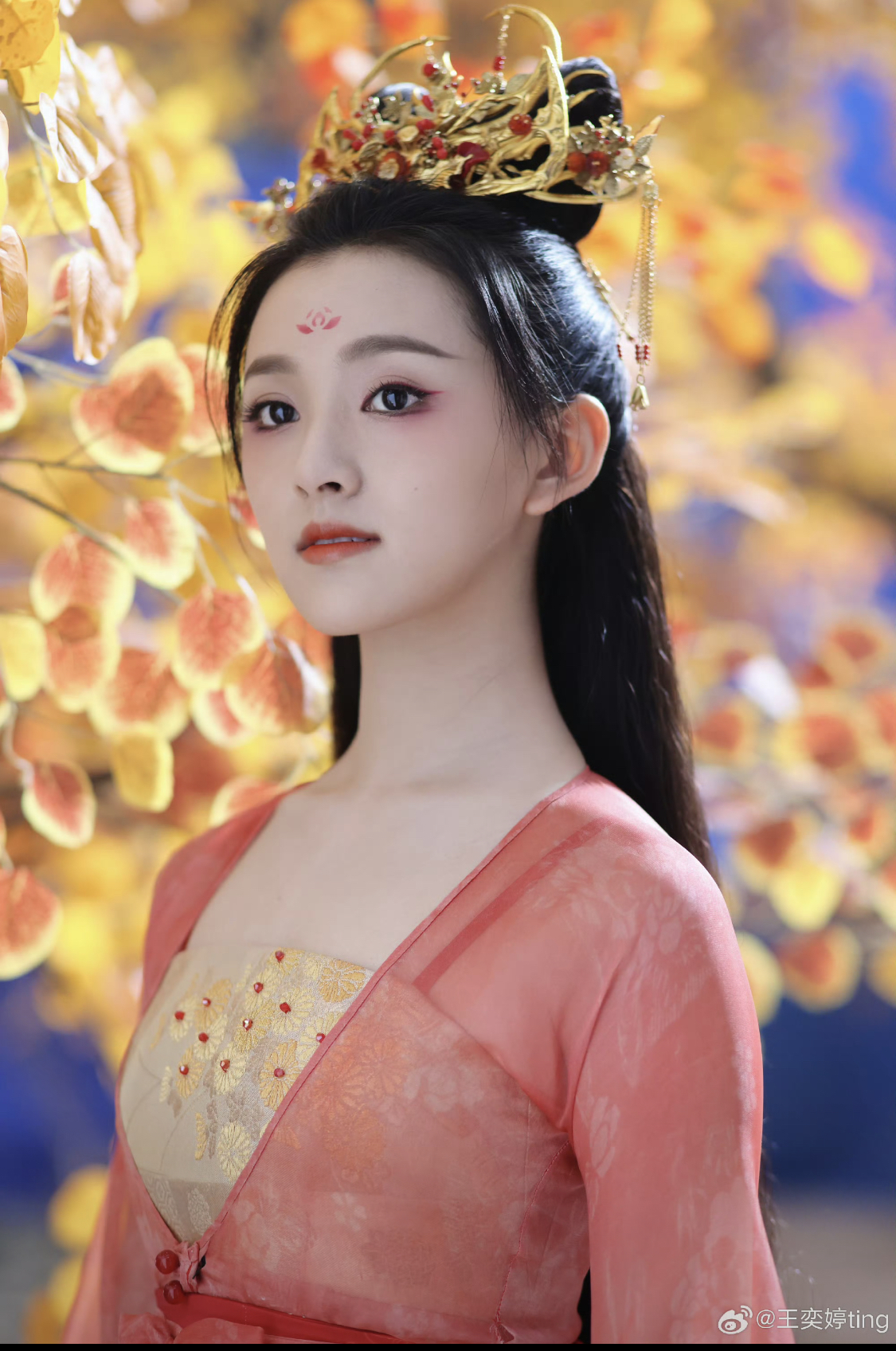 Cảnh Vương Dịch Đình múa lộng lẫy