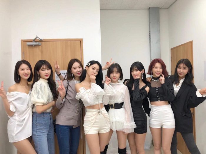 Đội hình tái hợp thiếu vắng nhiều thành viên gốc gây tranh cãi lớn Đội hình tái hợp 9Muses thiếu nhiều thành viên gốc