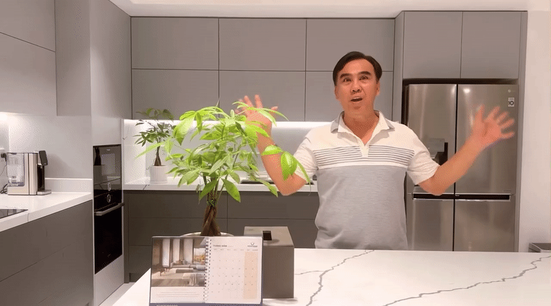 Tài sản của MC Quyền Linh- Ảnh 7. Khu vực bếp có chậu cây xanh