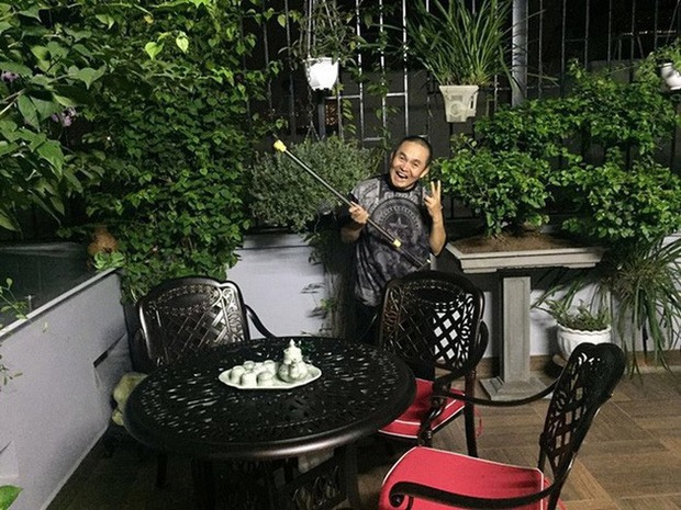 Sân vườn trồng cây cảnh xanh mát